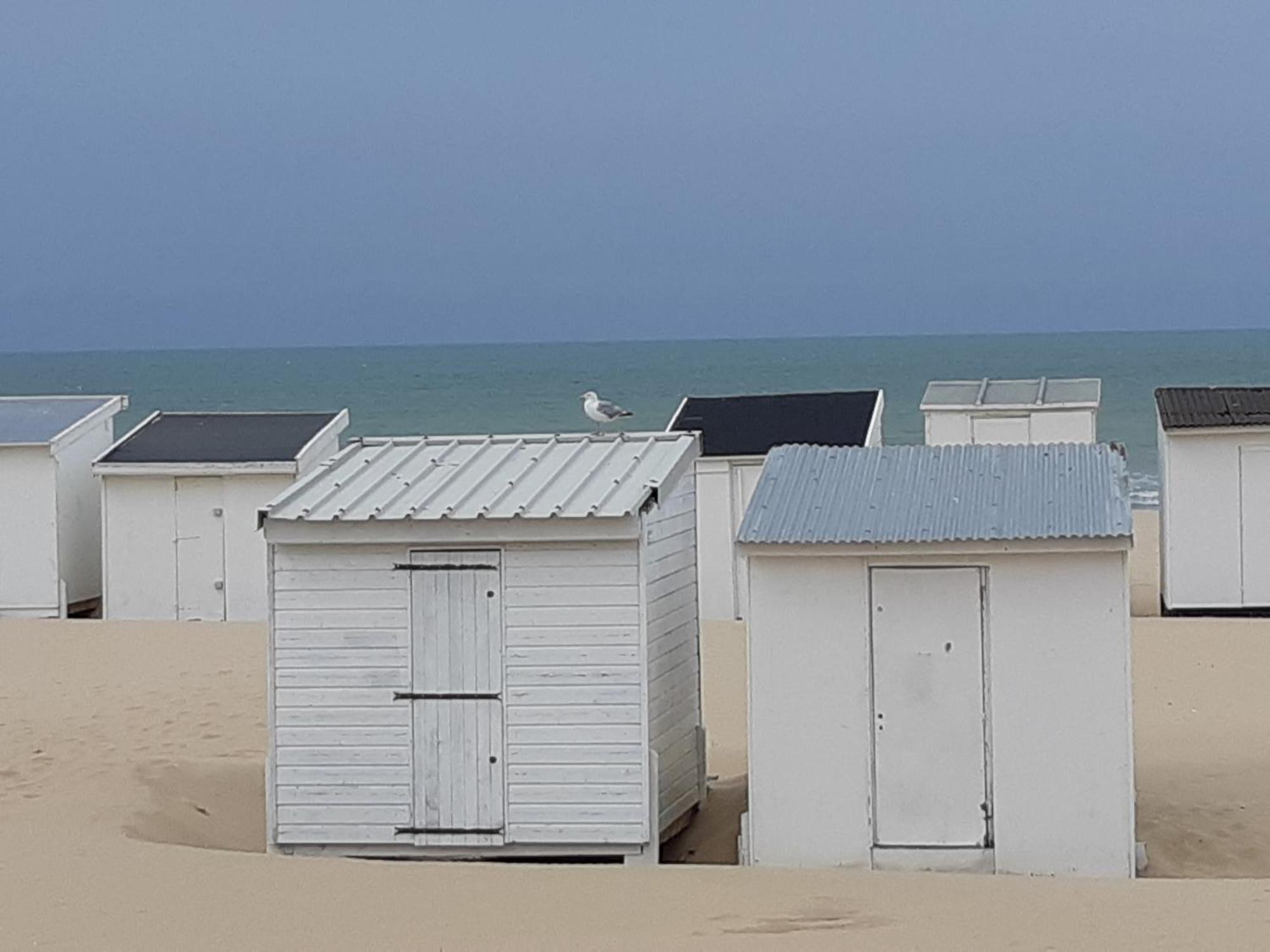 Calais Plage - Magnifique Studio - Front De Mer מראה חיצוני תמונה